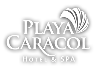 Hotel Playa Caracol - Veracruz - Boca del Río